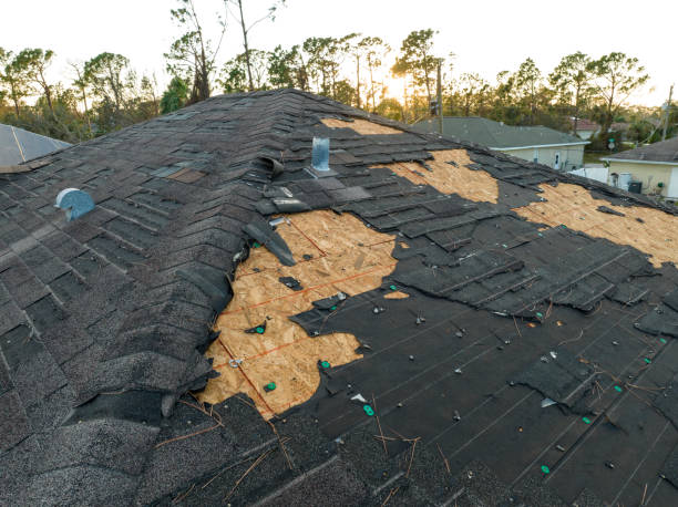 Professional Roofing Services in Fairview, NC