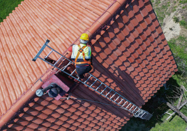 Best Skylight Installation and Repair  in Fairview, NC