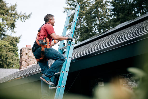 Best Roof Leak Repair  in Fairview, NC